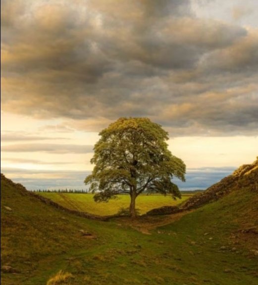 Kathryn Mannix tweet media