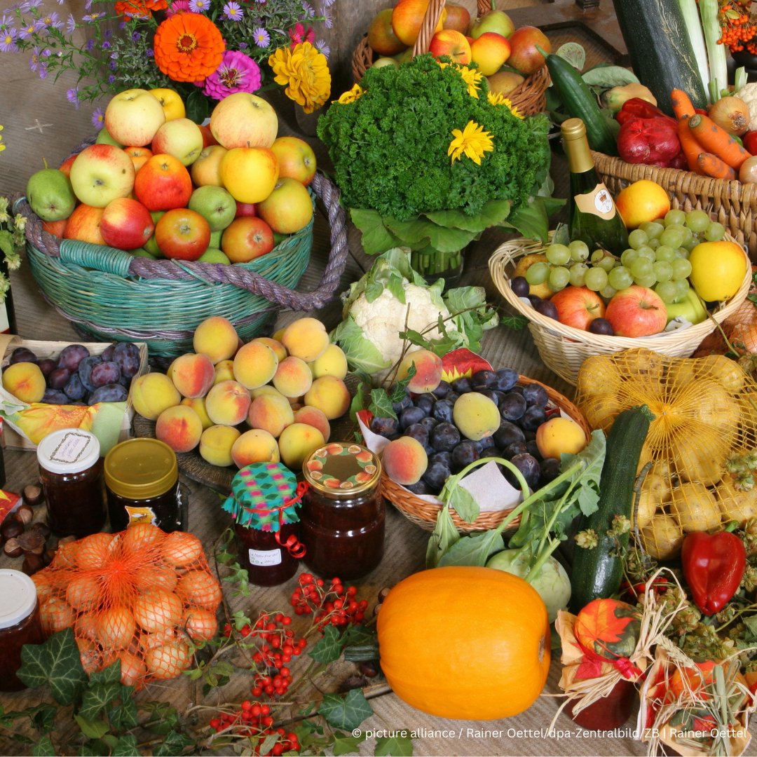 While you may know Thanksgiving in November, Germans celebrate their Erntedankfest, or Harvest Thanksgiving Festival, held on the first Sunday of October. 🍎🍂 While it is traditionally linked to the Church, 🇺🇸 traditions have begun to seep in. Learn more: german-way.com/history-and-cu…