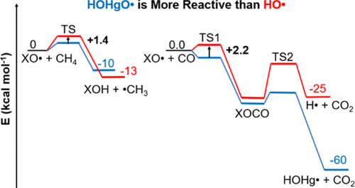 dibble_ted's tweet photo. My PhD student Darshi has her first paper with me: Atmospheric Chemistry of HOHgO• Mimics That of a Hydroxyl Radical"
Actually, HOHgO is more reactive than OH in some ways!
DOI: 10.1021/acs.jpca.3c04159 @JPhysChem A https://t.co/UWja2iQdnX