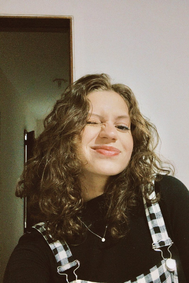 dinosara tweet media