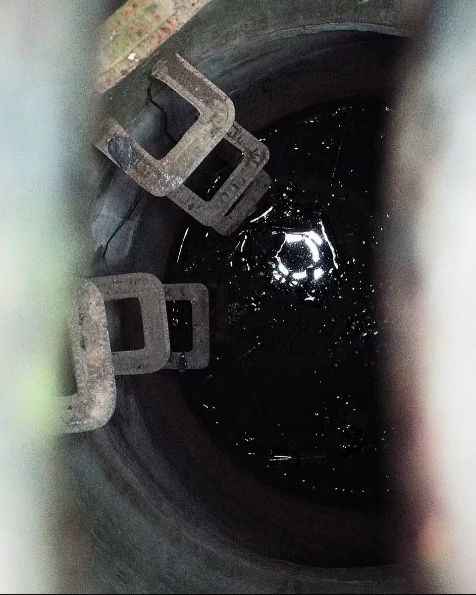 Maeni's External Memory tweet media