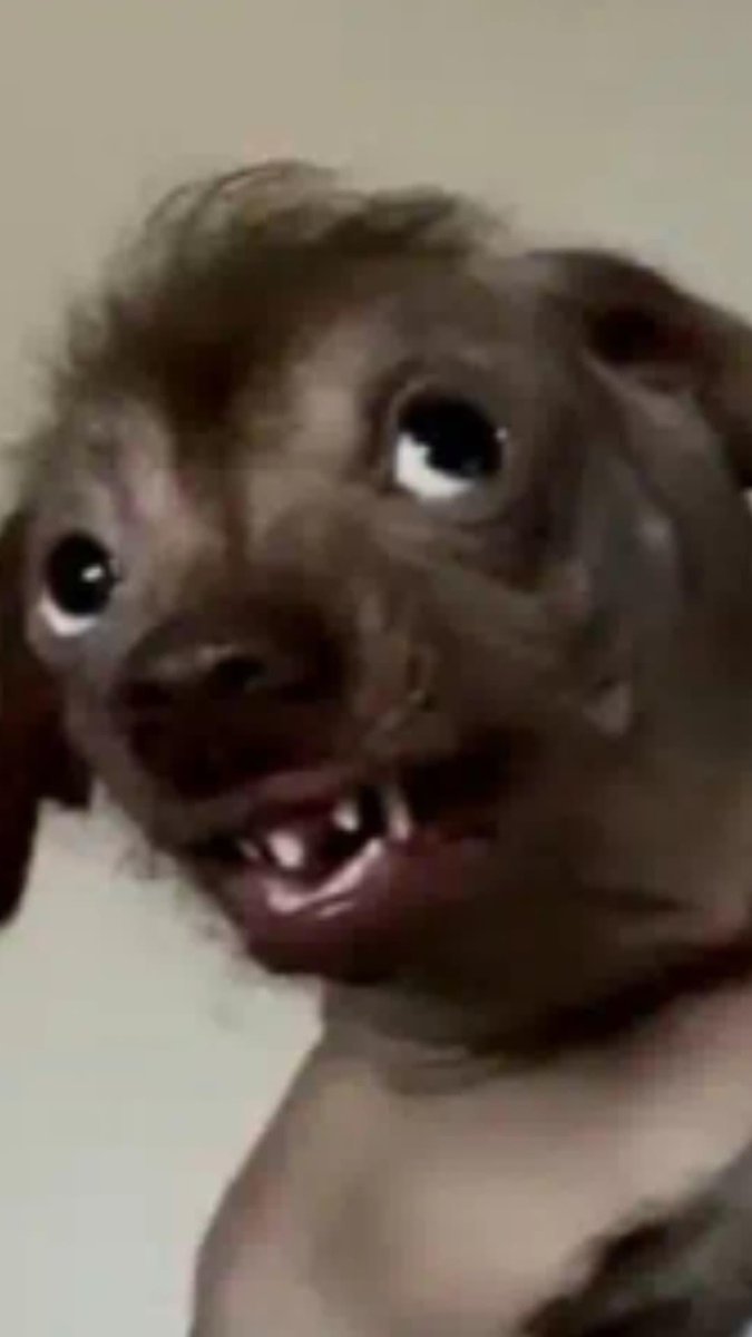 Escándalo por la Feuni y yo todavía no encontré mi amor de UNIMPIADA