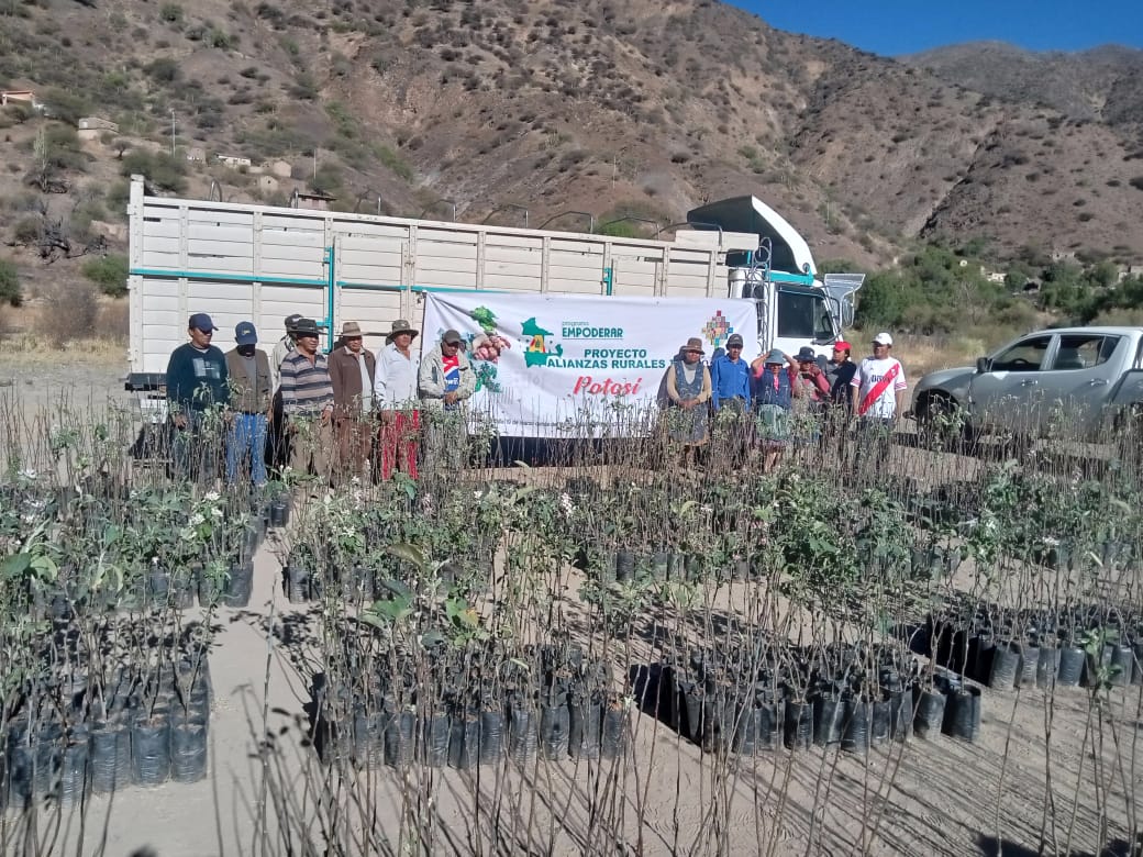 SenasagBolivia's tweet photo. #Potosí
🇧🇴⚙️SENASAG, a través del Proyecto #FrutasNacionales, en coordinación con #IPDSA, #EMPODERAR, #INIAF y municipios, realiza capacitaciones sobre manejo de plantas nuevas de las alianzas beneficiarias y uso de bioinsumos, en las comunidades del municipio de #Cotagaita. https://t.co/7wrLcG2hyH