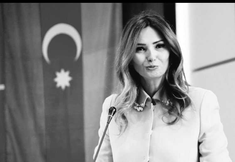Türkiye'nin ayağına atılan taş, bizim başımıza değer.” 
#GanirePaşayeva

Başımız Sağolsun 🇹🇷 🇦🇿