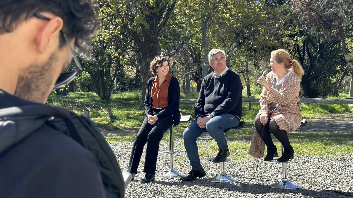 Consejo Económico y Social tweet media