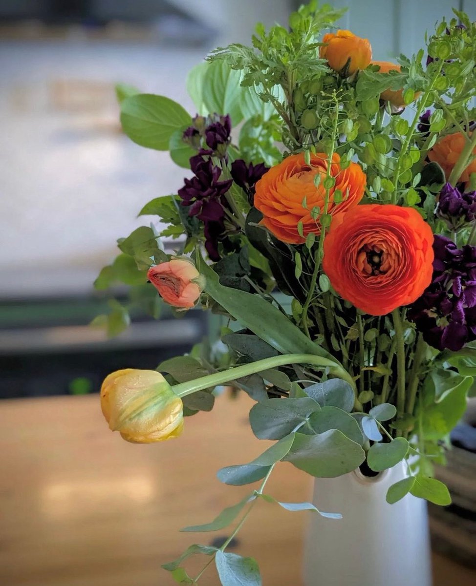 DiscoverZephyr's tweet image. Let your kitchen bloom with Zephyr. 🌸🌺
⠀⠀⠀⠀⠀⠀⠀⠀⠀
Credit: @charlottehouserevival
Hood: Savona Wall
⠀⠀⠀⠀⠀⠀⠀⠀⠀
Follow @discoverzephyr for kitchen and home design inspiration.
⠀⠀⠀⠀⠀⠀⠀⠀⠀
#stylishkitchen 
#kitchendesigninspiration 
#myinteriorstyletoday