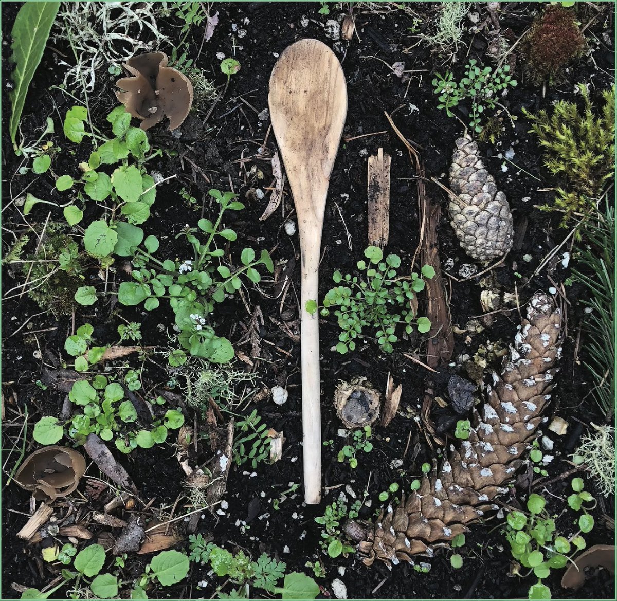 missingrecords's tweet image. Happy one year anniversary to my record Wooden Spoon! Thank you to everyone who listened, supported and collaborated with me on this project! linktr.ee/missingrecords