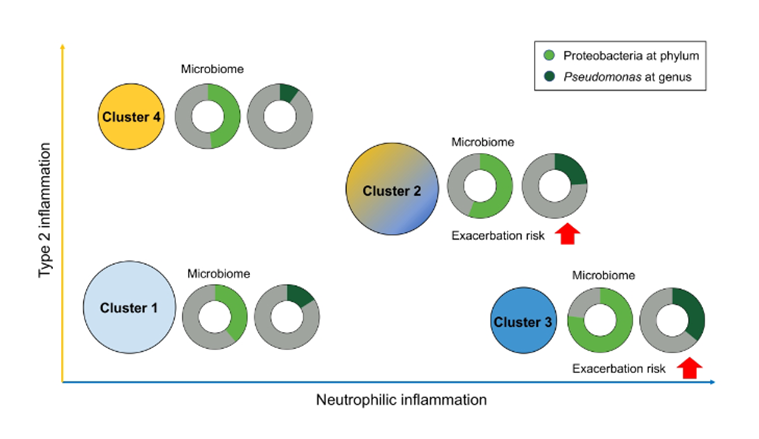 James D Chalmers tweet media