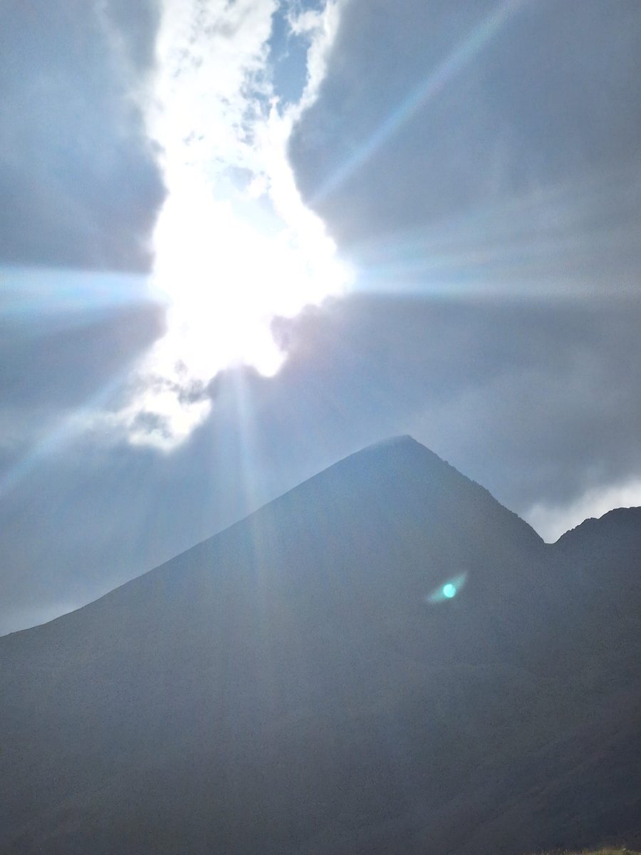 Morrison Tours - The Mountain Guy tweet media