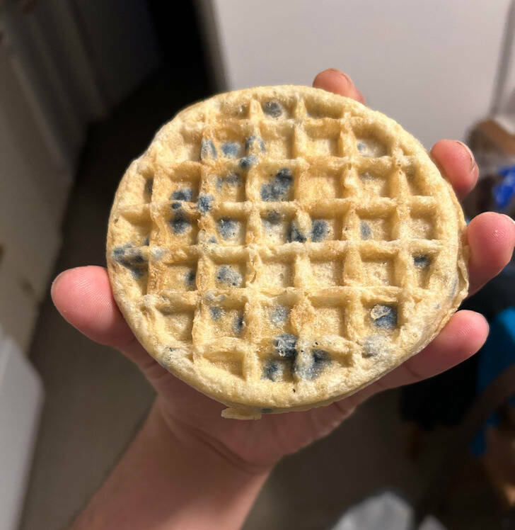 Dude eats two blueberry waffles. Looks at package, they are plain waffles.