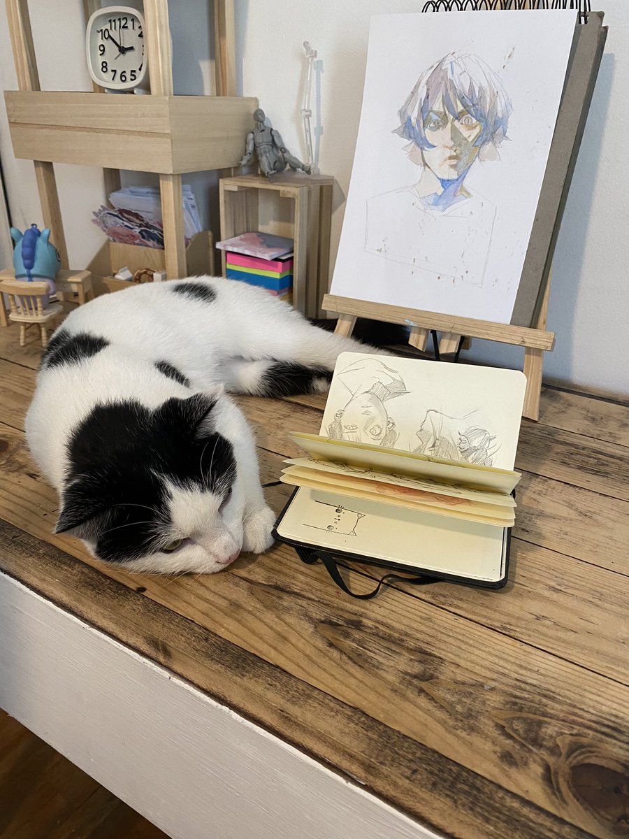 S H I N O N tweet media