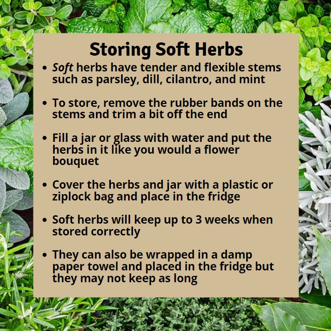 Food Shift tweet media