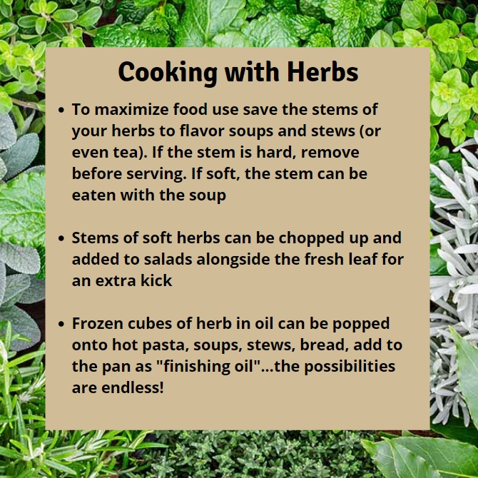 Food Shift tweet media