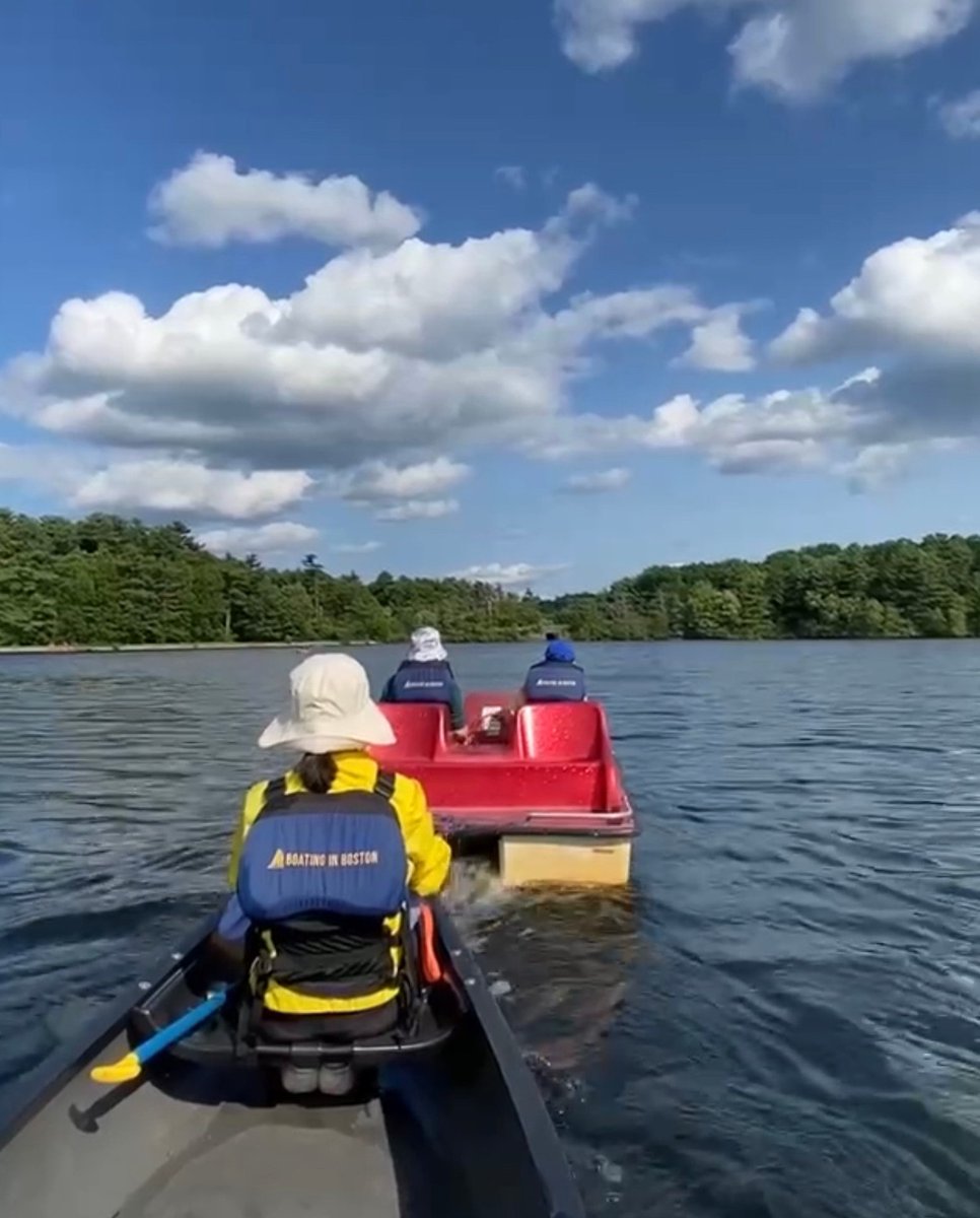 BoatingInBoston's tweet image. Row into your next Boating In Boston adventure this weekend. 🚣
