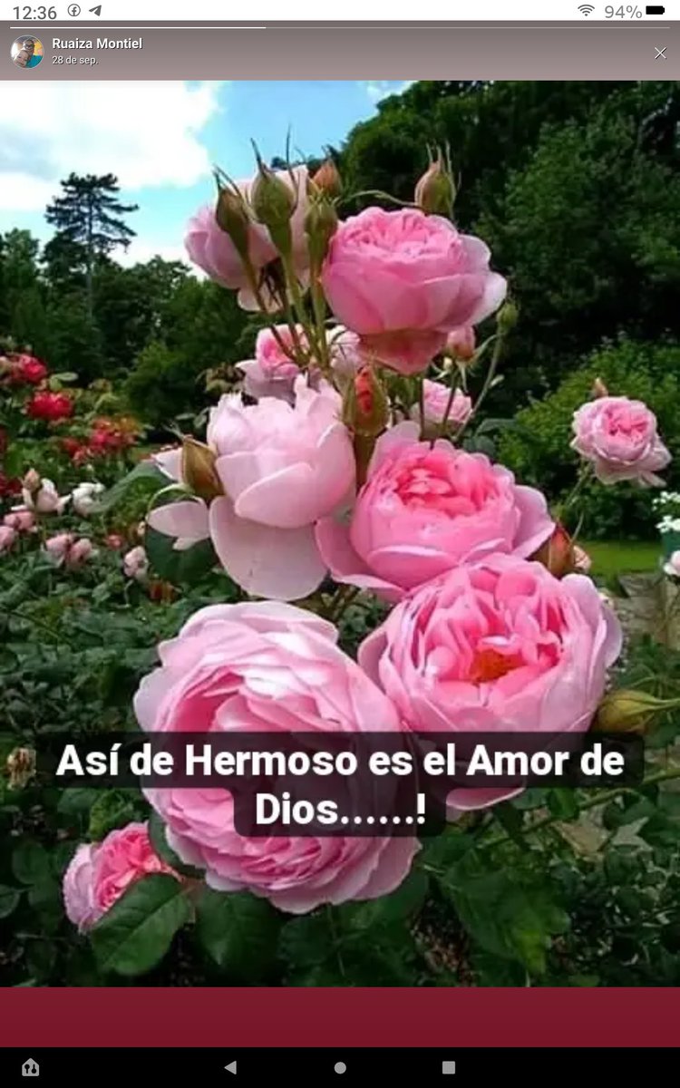 Ruaiza70's tweet photo. https://t.co/ElV8oTQFaA