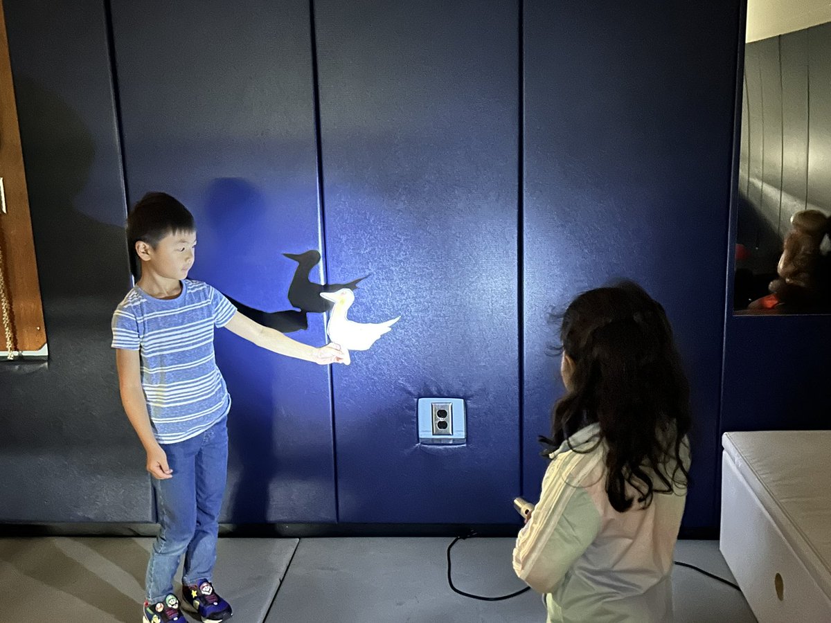 MsLee_123's tweet photo. In STEM we continued our investigation about light 🔦we made shadow puppets and learned about how opaque paper makes better shadows. We learned new vocabulary words through #TPR and got to travel to a darker room to make better shadows! Thanks Ms. Serio! https://t.co/h7FWCLrDkV