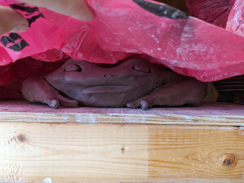 Allison (Bishop) Rodgers tweet media