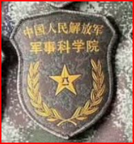 中国人民解放军军事科学院军事医学研究院研究员、少将陈薇的臂章与