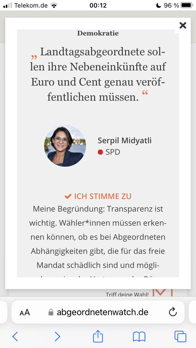 @SerpilMidyatli Wie hoch sind Ihre Nebeneinkünfte, Frau Midyatli?