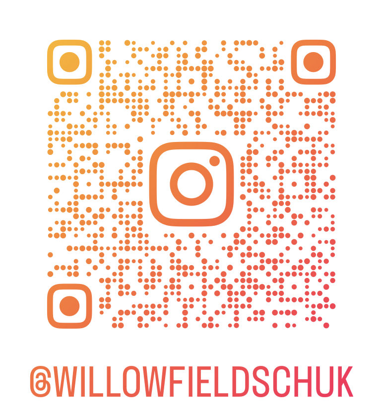 Willowfield (@willowfieldsch) on Twitter photo 