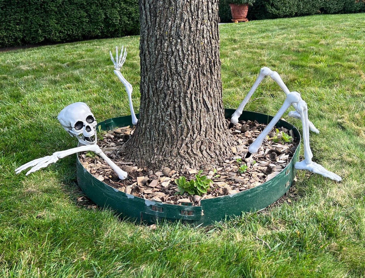 It’s getting scary out there while door-knocking in the neighborhoods with Halloween coming up!