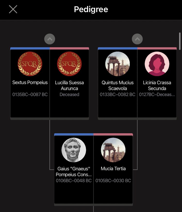 Was looking at my family tree and was able to track Pompeius