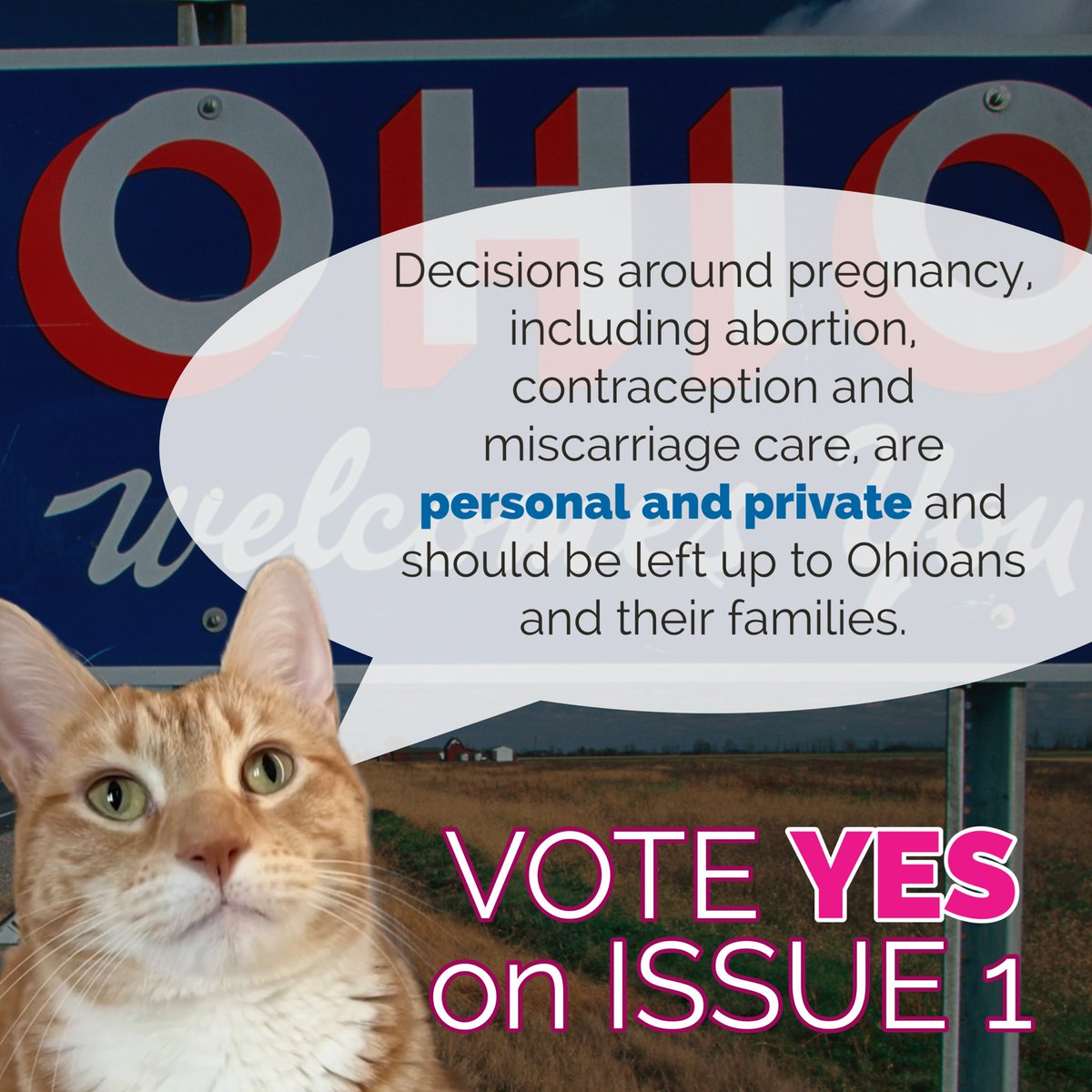 JortsTheCat's tweet photo. OHIO, I am talking to YOU. You have until October 10 to find your friends who aren’t registered to vote and get them moving. There are HUGE issues at stake and not everyone knows how to register or how important it is NOW.

I’m talking about ABORTION and voting YES on Issue 1. https://t.co/28oNv4jUdJ