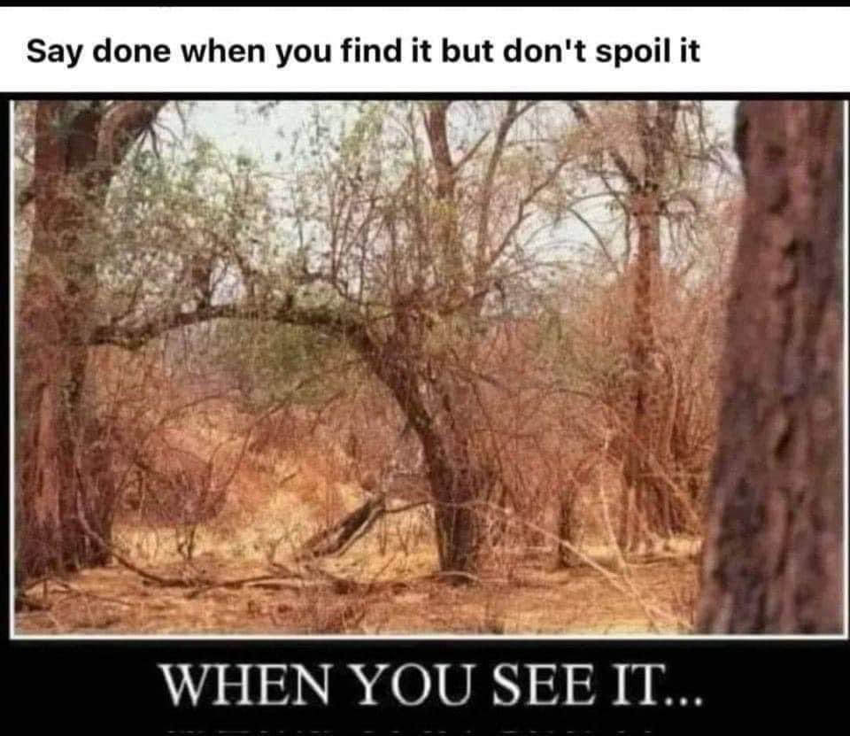 Kris Kashtanova tweet media