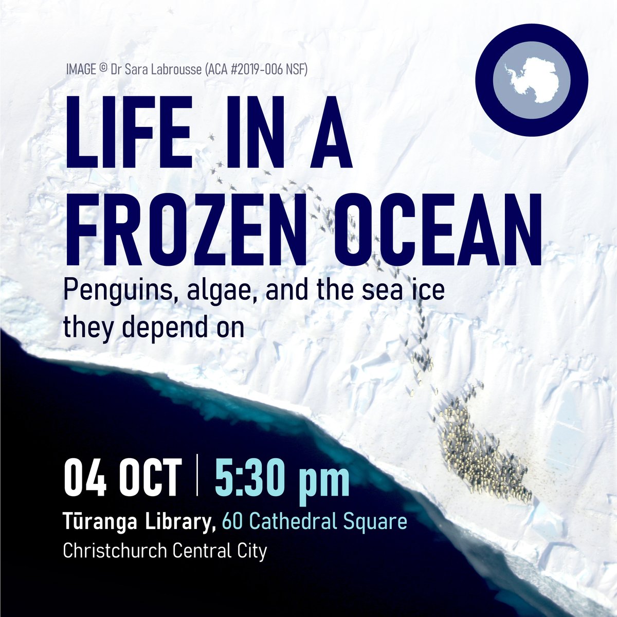 This coming Wednesday - at Tūranga, Christchurch! events.humanitix.com/life-in-a-froz…
FREE panel talk on Life in a Frozen Ocean as part of the Days of Ice Festival for the start of the Antarctic season here in Ōtautahi Christchurch!  Book so we know how much chocolate slice to bring! 😍🐧🧁