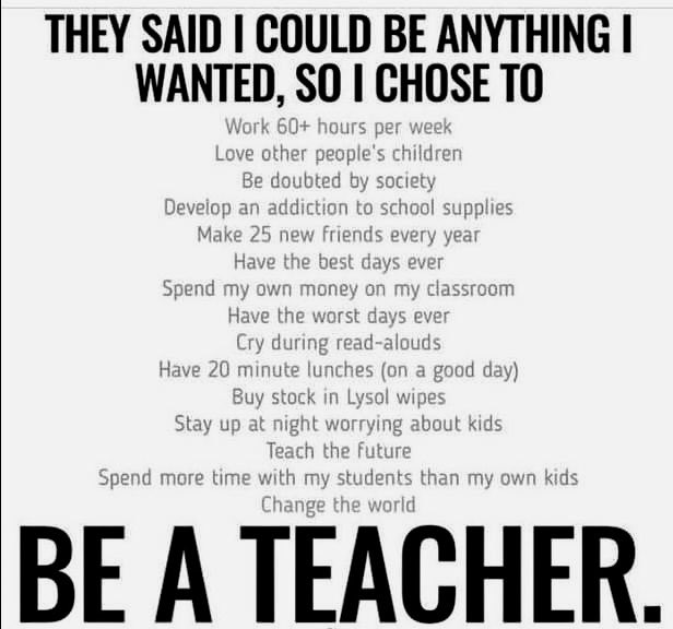 Jennifer Stein tweet media