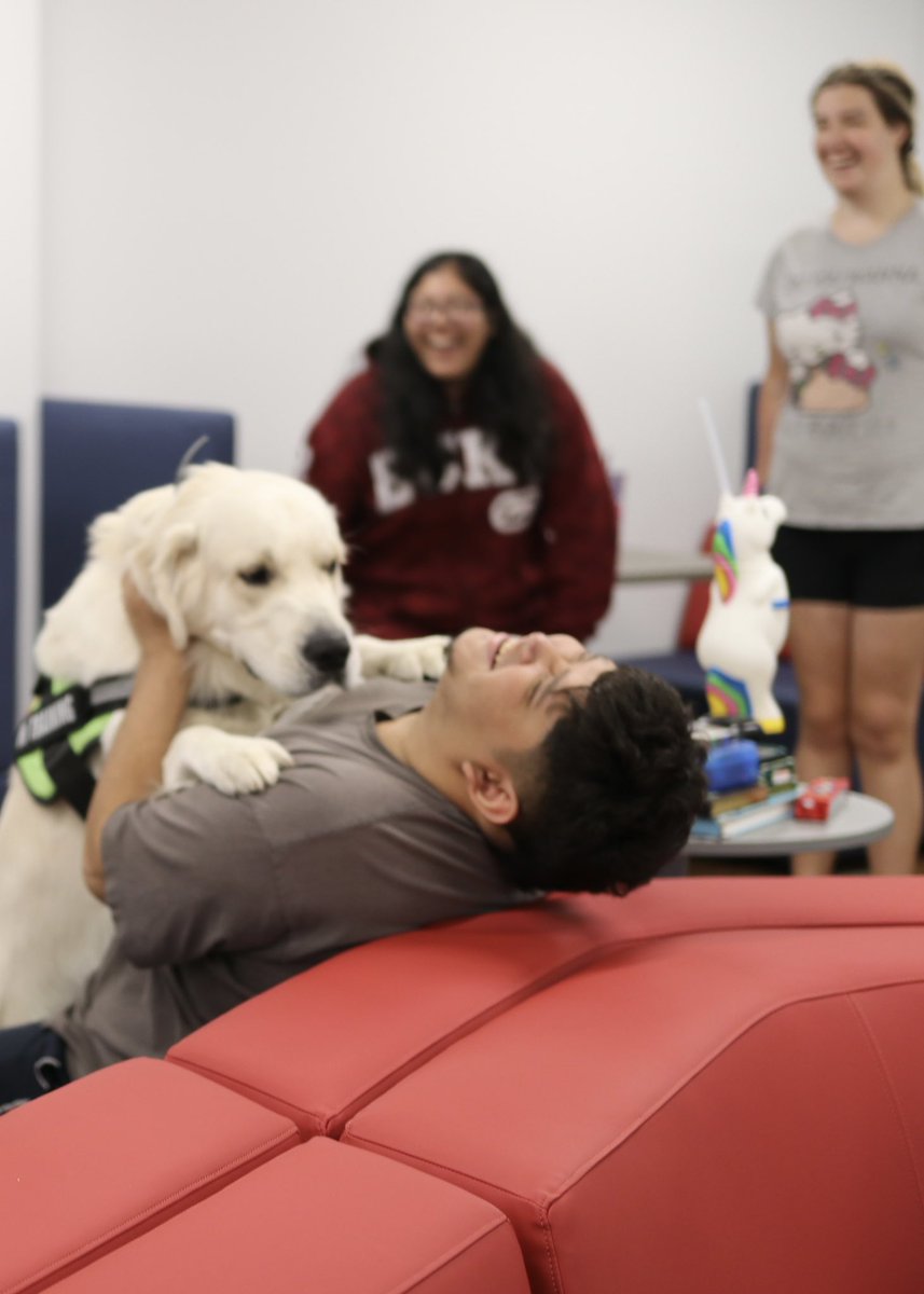 We all had a great time with Mr. Journey this week! He’s in training to be a comfort dog and doing great; smiles all around! #BlackhawkPride #ComfortDogs #MentalHealthMatters