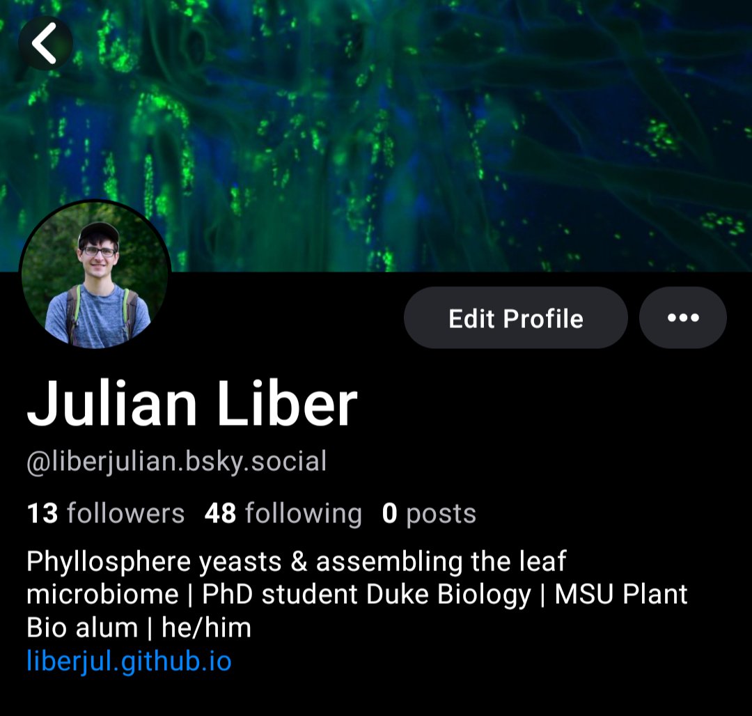 Julian Liber tweet media