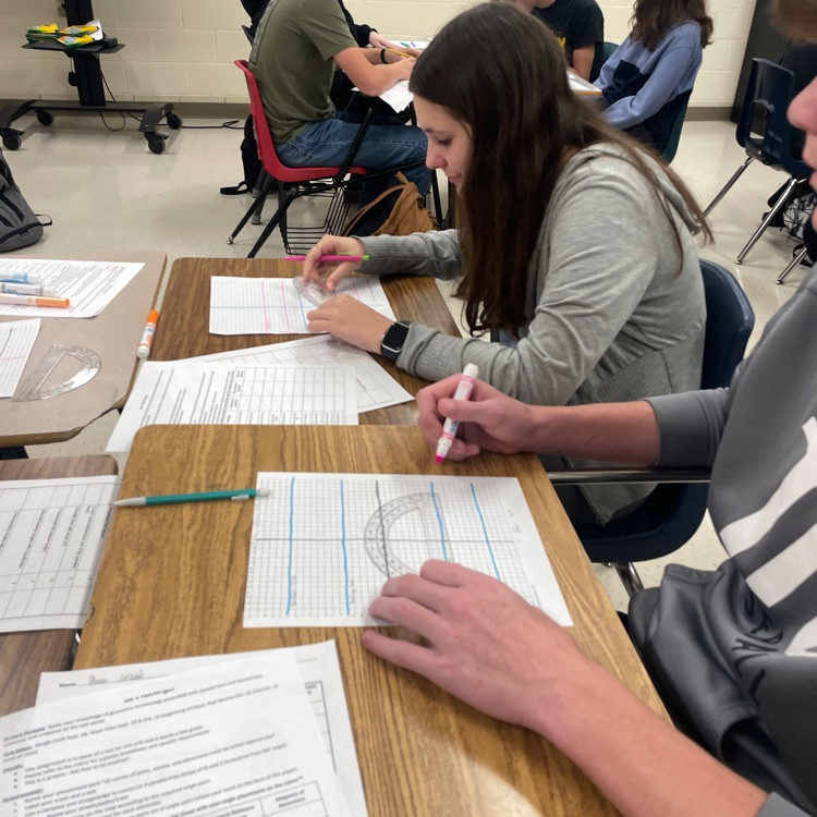 Students in Ms. Gartner's geometry class were working on planning a design for their own amusement parks. Can't wait to see their completed projects! 🦅#thisisNB