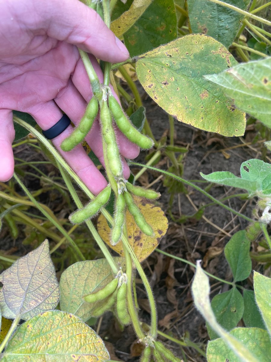 Jake Elgersma tweet media