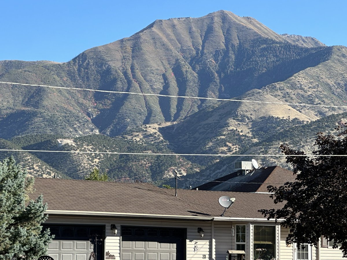 Tom Burton tweet media