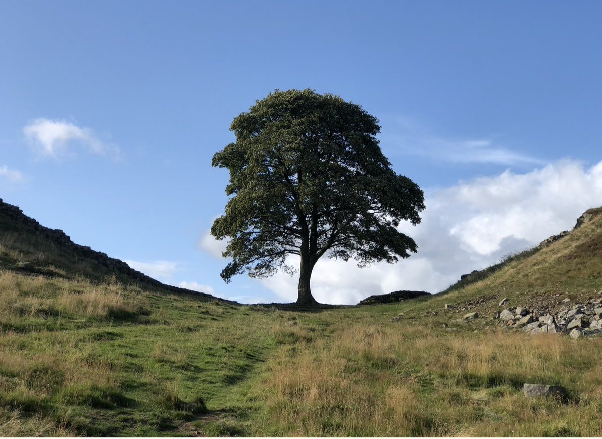 soautomation's tweet photo. @nationaltrust You’ve seriously got to question why would you https://t.co/g1ay1lLkHL
