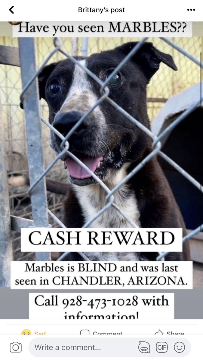 cece2769 tweet media