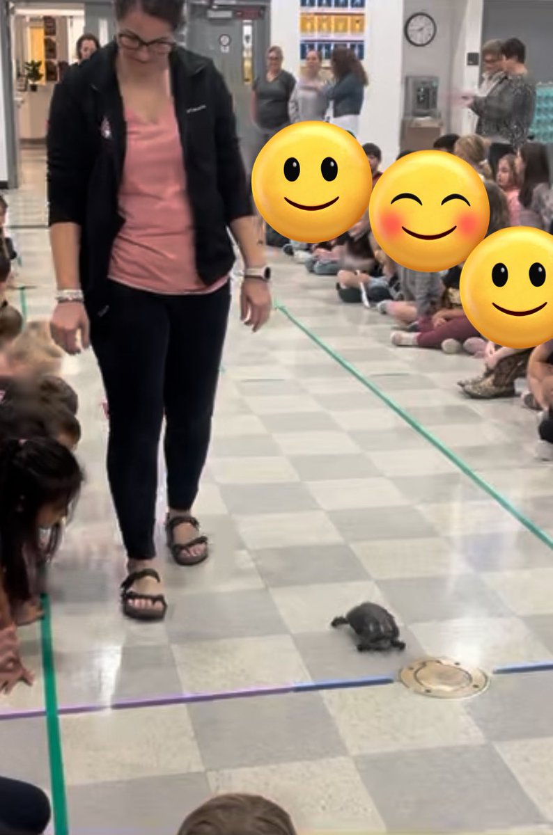 K teachers at @MonroeElem2 created nursery rhyme Olympics. The culminating event? A “tortoise and hare race”. Guess who won 😀😂 #ElevateAlder  #PioneerTogether