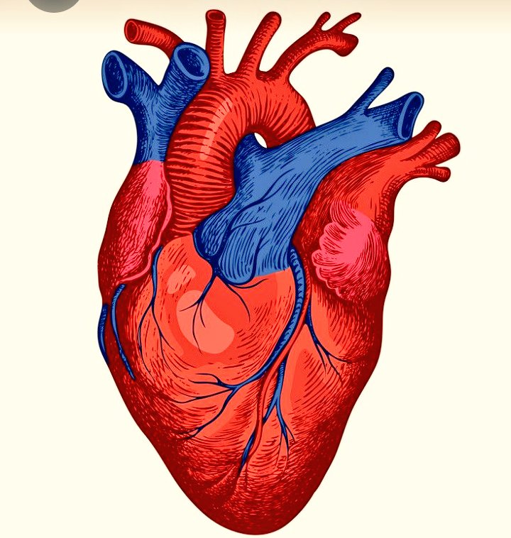 Mimi__bakes's tweet photo. Every beat of your heart is a rhythm of life; cherish it, protect it, and let it lead you to a brighter future.
Happy world Heart dayโค๏ธ
#WorldHeartDay2023 #WorldHeartDay
#medicine #SAnode https://t.co/PwCavhJsDI