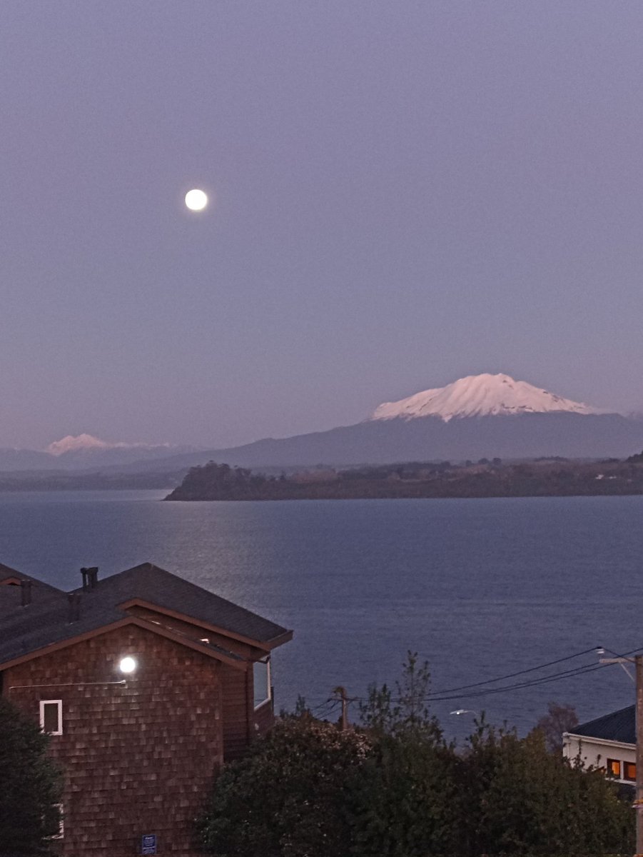 Martín Rivara (@rivara_martin) on Twitter photo Great closure for the #mbiosys23 conference in Puerto Varas! <a href="/molbiosystems/">Molecular Biosystems Conference</a> Great closure for the #mbiosys23 conference in Puerto Varas! <a href="/molbiosystems/">Molecular Biosystems Conference</a>