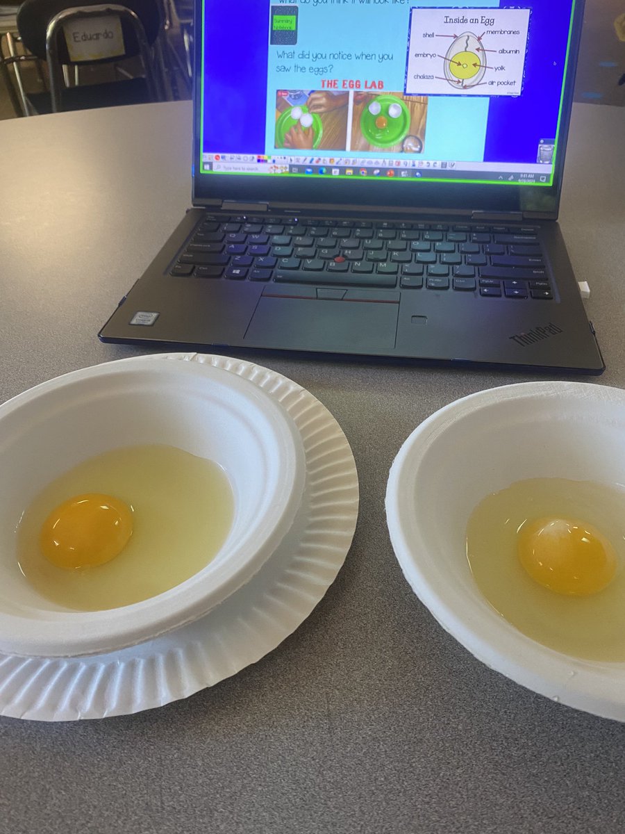 Lauren Harris tweet media