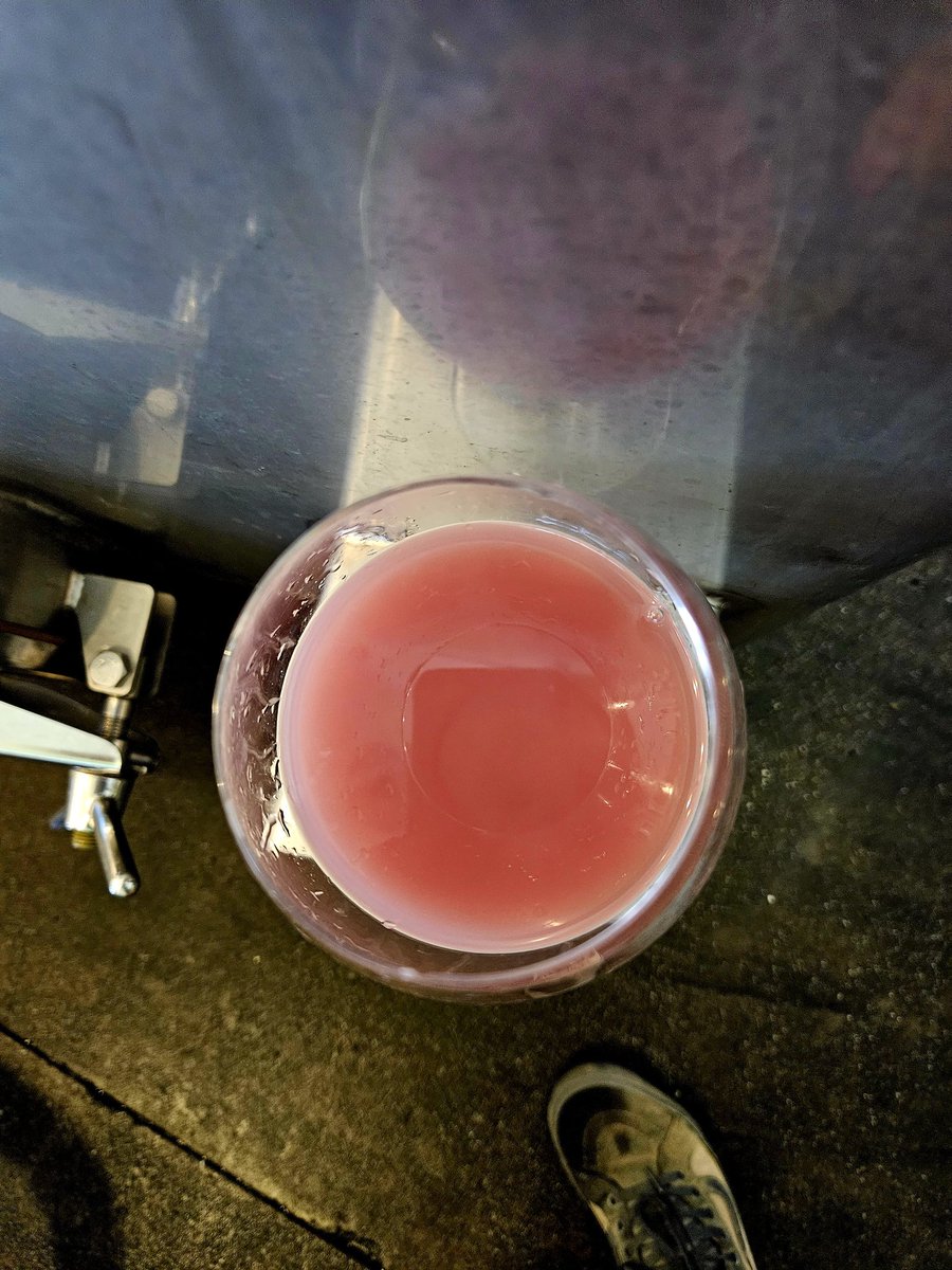 Grenache Gris coming off the skins today.