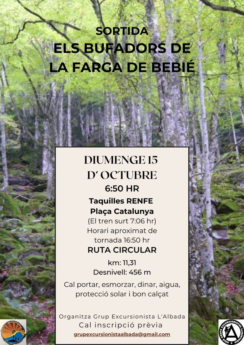 Xavier (@xavier74745544) on Twitter photo 