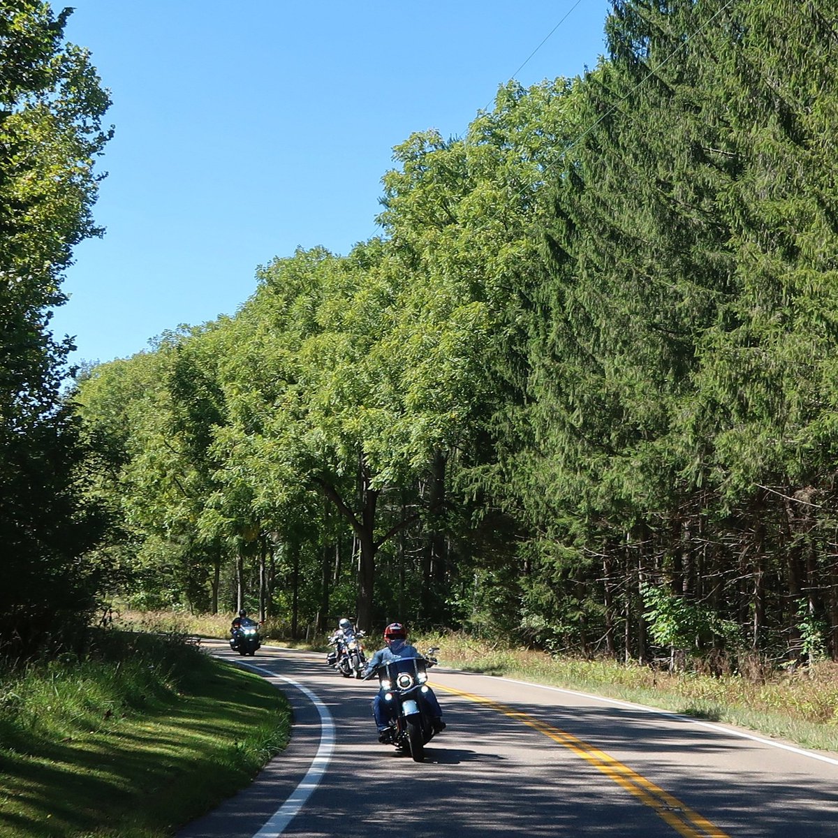 I love riding alongside pine trees.  They smell awesome! Who knows that fresh pine smell?
.
#MotorcycleDen #pinetrees #pineforest #route56 #harleydavidson #yamahamotorcycles #groupride #motorcycleride