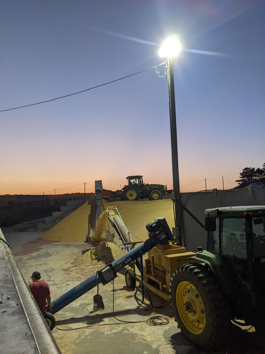 For sale 1254 Henke Buffalo roller mill. 1.35 drive, swing hopper, belt discharge. Only a couple years old, but I upgraded to a double mill.