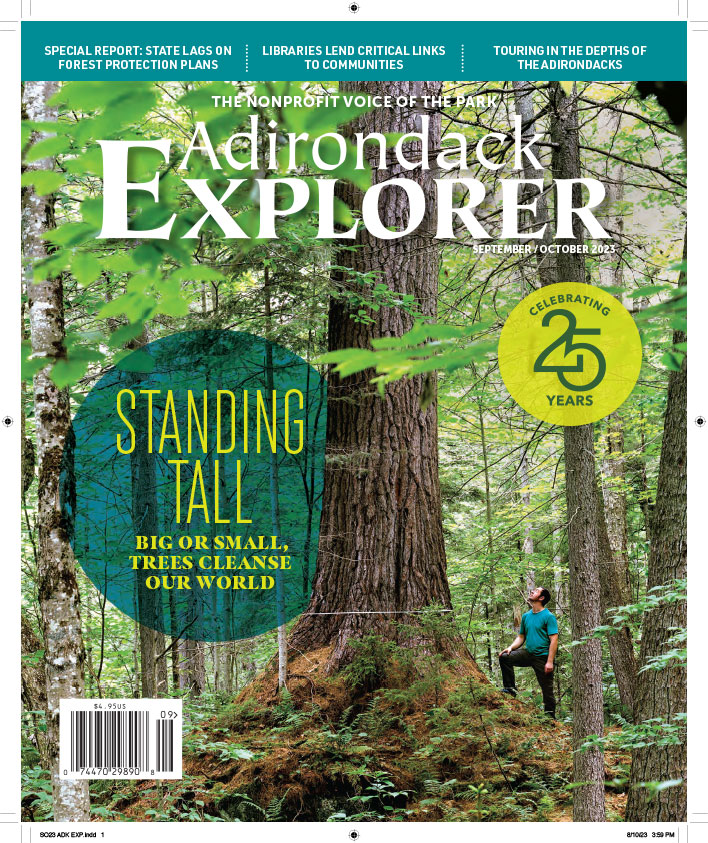 Stop by the Old Forge Farmers Market tomorrow and get a copy of Adirondack Explorer magazine!