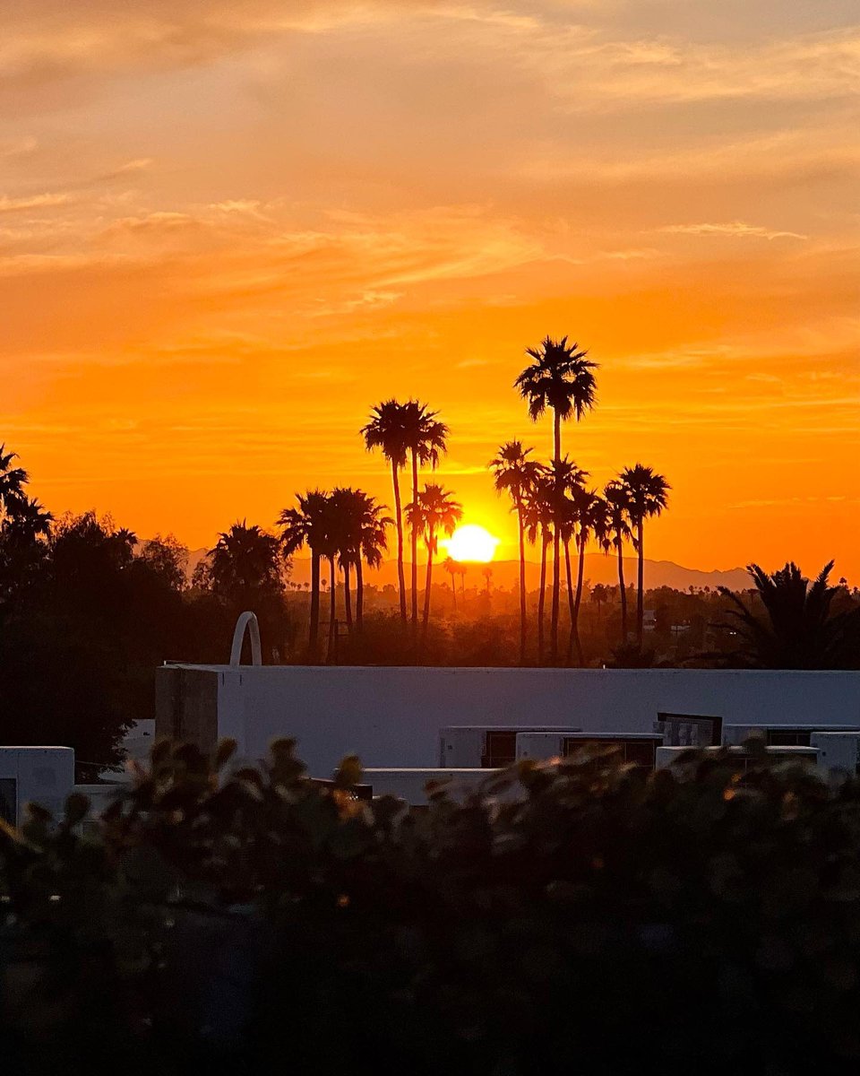 theclarendonphx's tweet photo. Phoenix sunsets and sangria, what could be better? 🍹🏜️

Sip the evening away as you soak up the chill vibes, meet awesome new people and toast a day well-done.

RSVP for free at ⤵️
https://t.co/12R7ebx8MS

#rooftopbar #myphx #bestofphoenix https://t.co/g1LjYABtc4