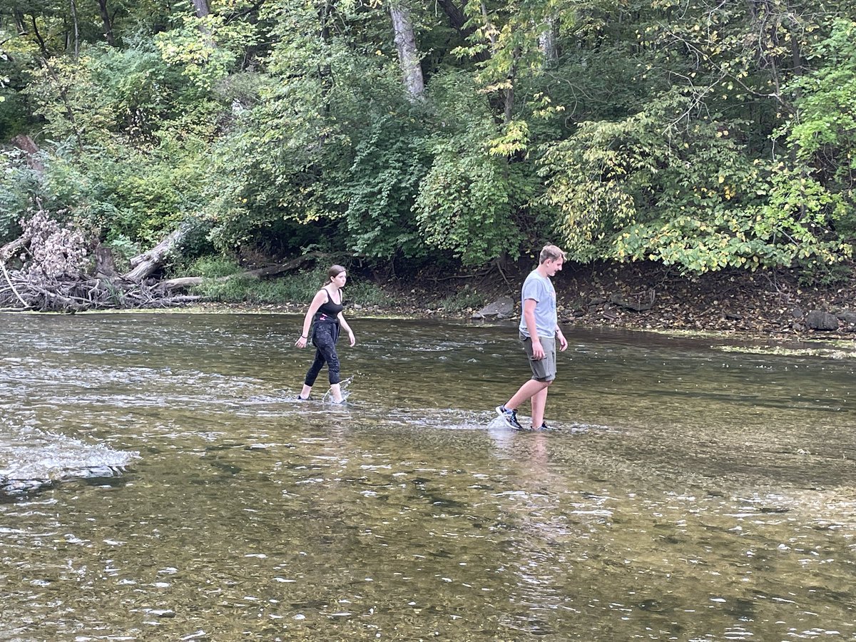 Todd Mertz tweet media