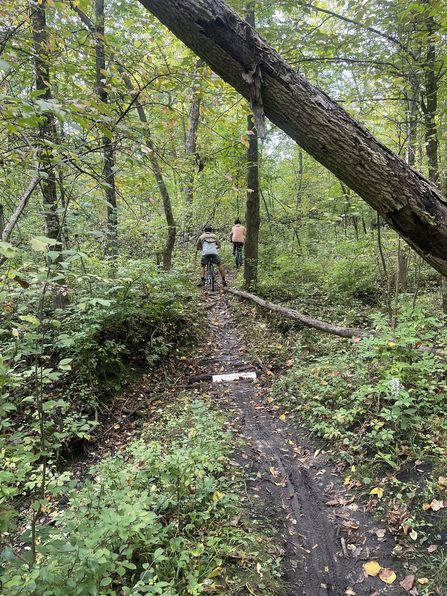 Todd Mertz tweet media