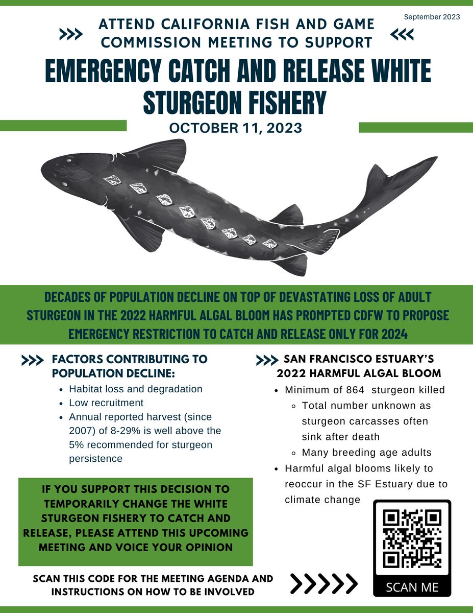 Sarah Baird tweet media